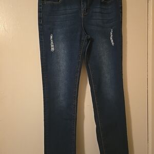 Hudson Jeans Kids Distressed Indigo Denim